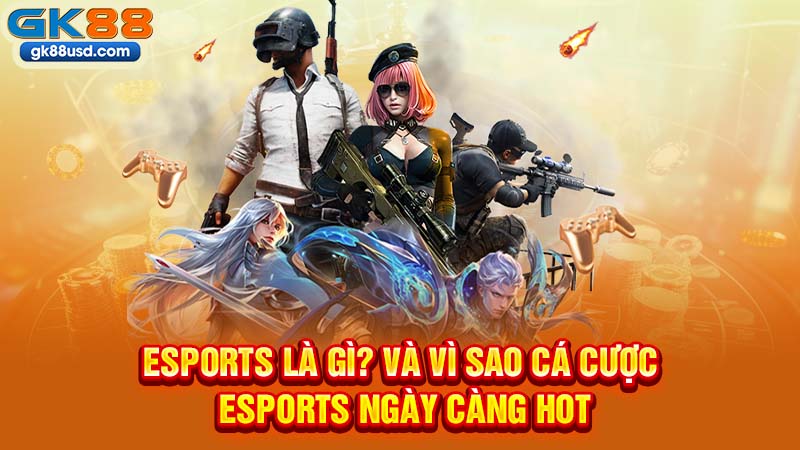 Esports Là Gì? Và Vì Sao Cá Cược Esports Ngày Càng Hot