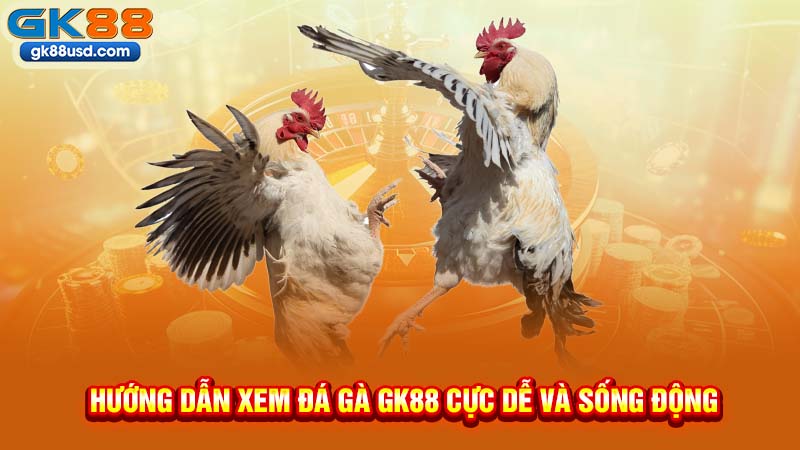Hướng Dẫn Xem Đá Gà GK88 Cực Dễ Và Sống Động